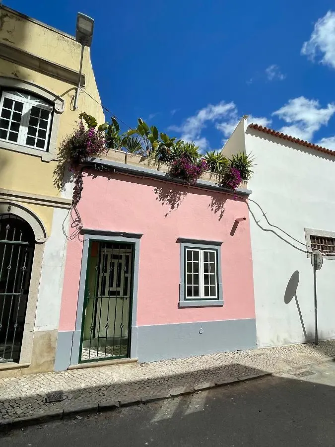 Casa Da Selva Villa Faro Holiday home